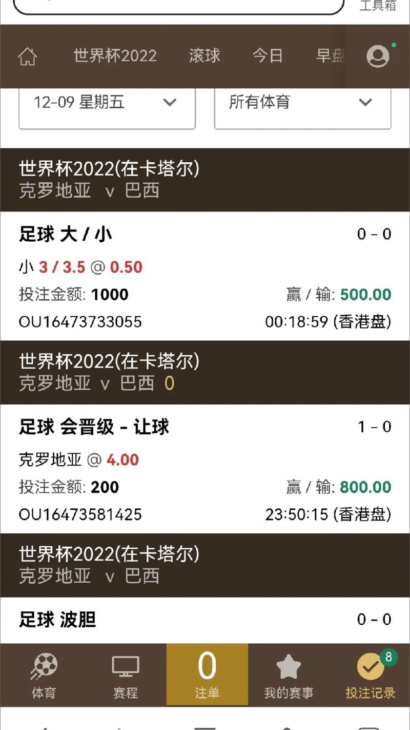 世界杯下注平台安全与隐私保护 世界杯下注平台安全与隐私保护